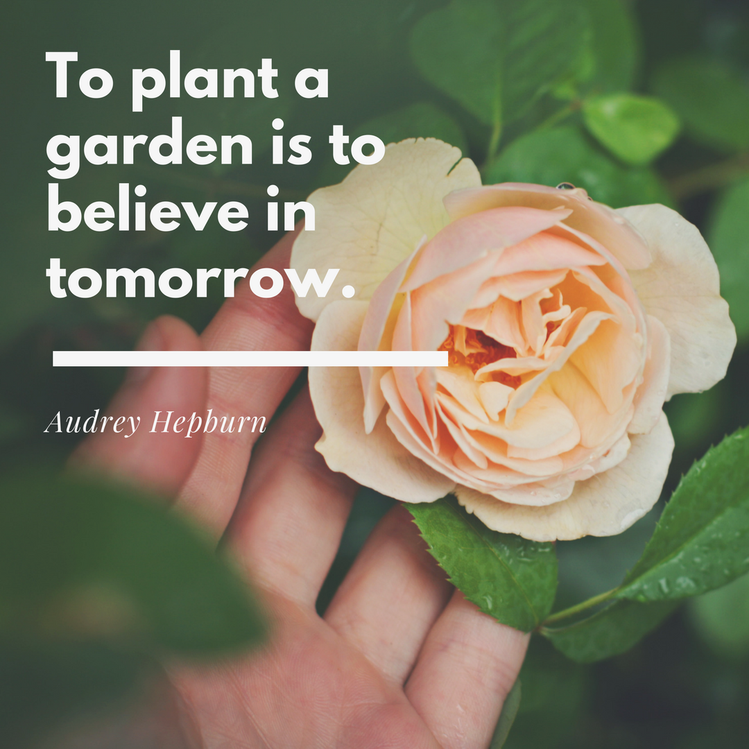 to plant a garden is to believe in tomorrow.png