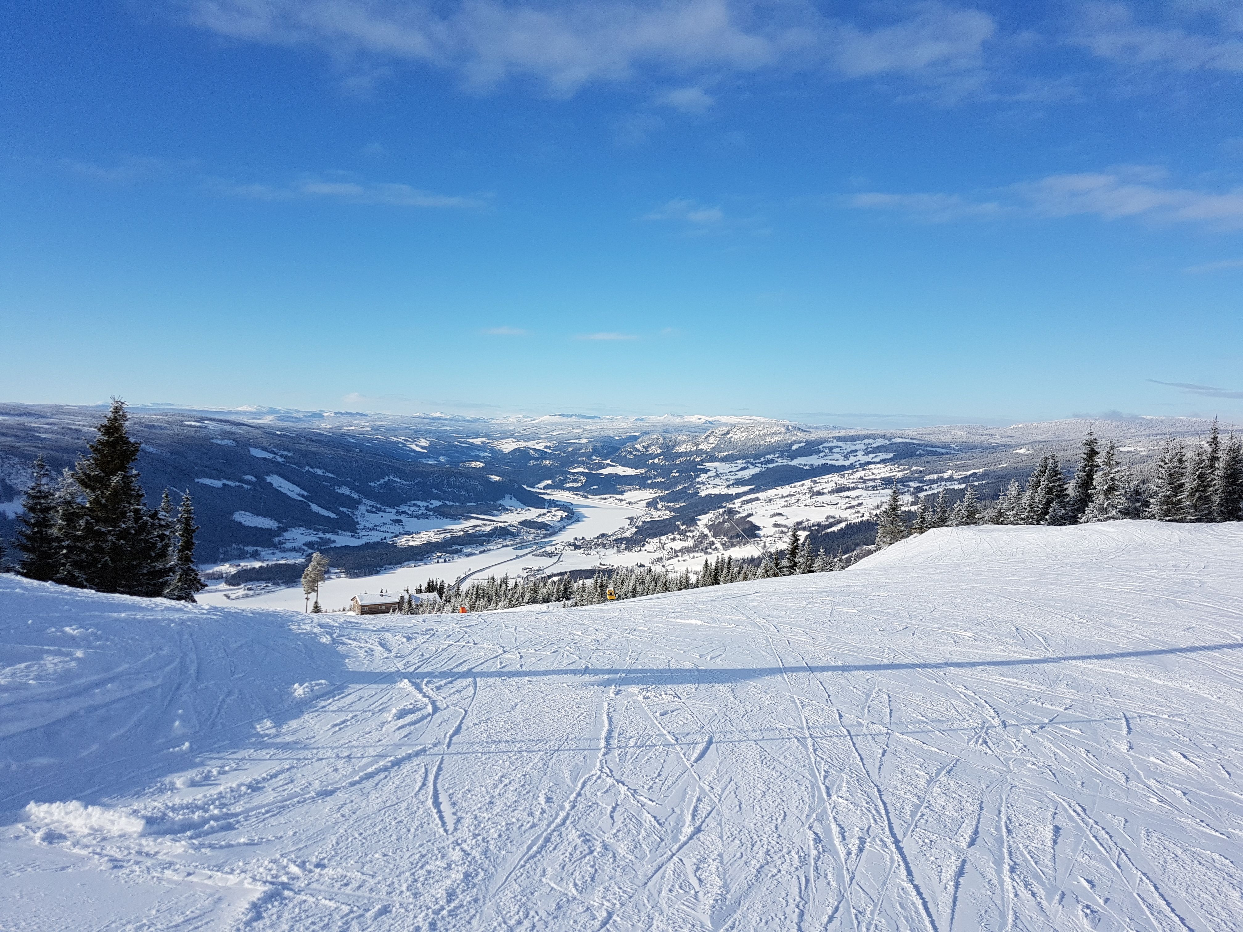 20180221_132919.jpg