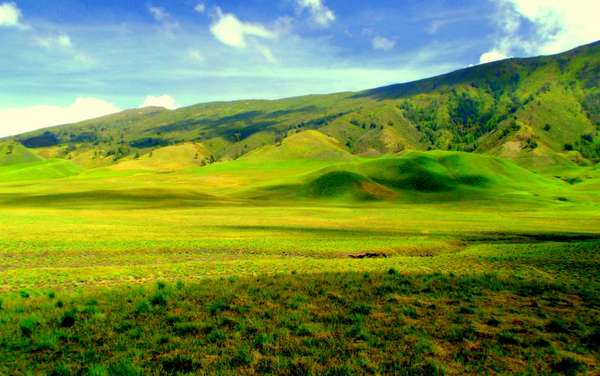 Foto-4-Mengunjungi-Bukit-Teletubbies-Bromo.jpg