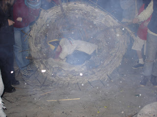 Bird in a basket.jpg
