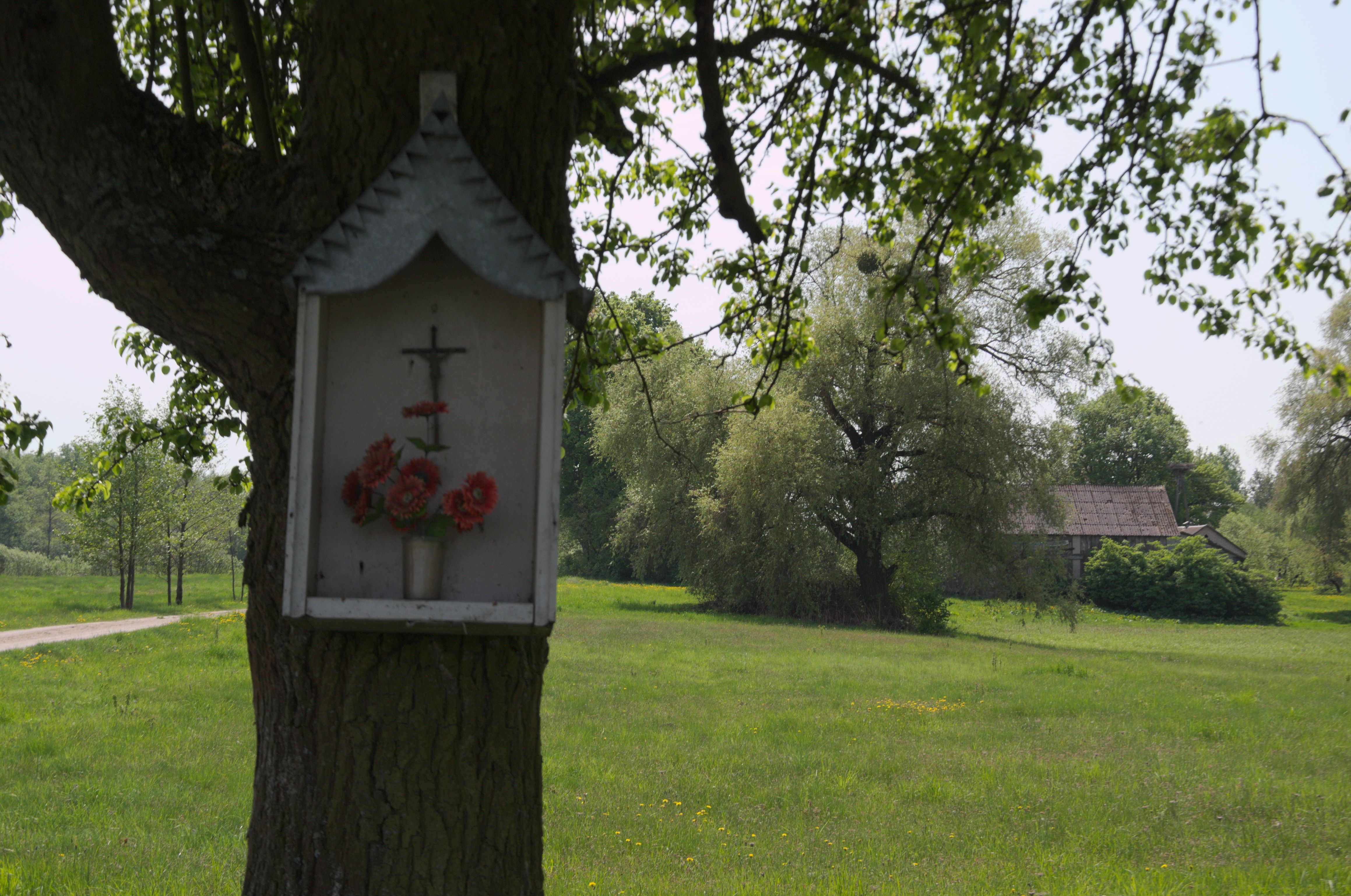 DSC_0304.jpg