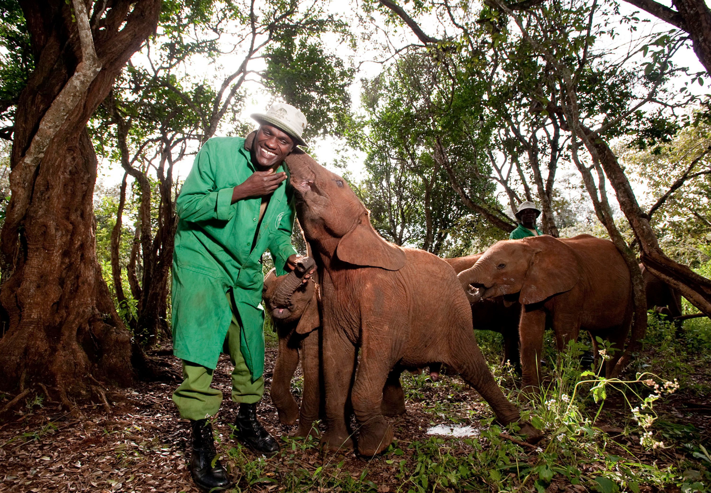 david-sheldrick-wildlife-trust-1.jpg