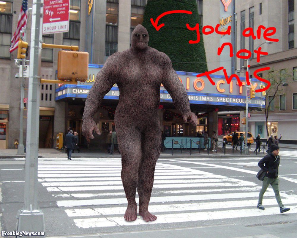 Sasquatch-Walking-Down-the-Street-in-New-York-97923new.jpg