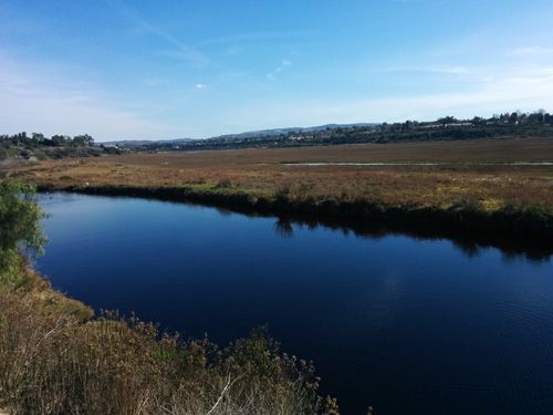 Back bay river.jpg