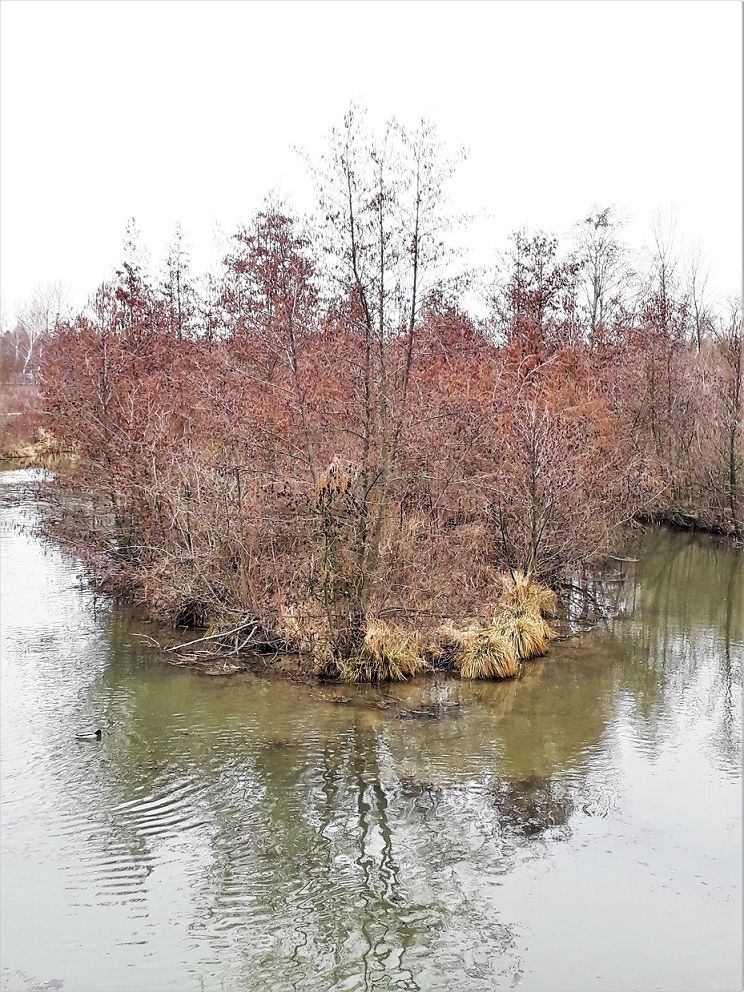 20180318_142248.jpg