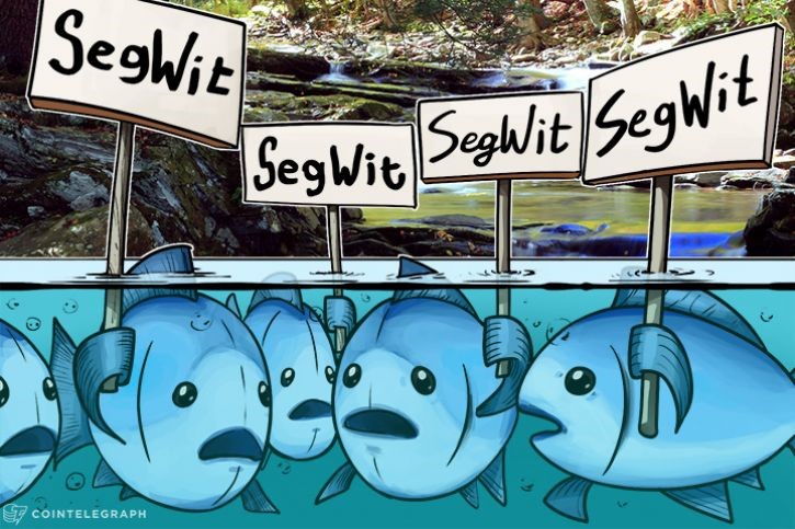 SegWit.jpg