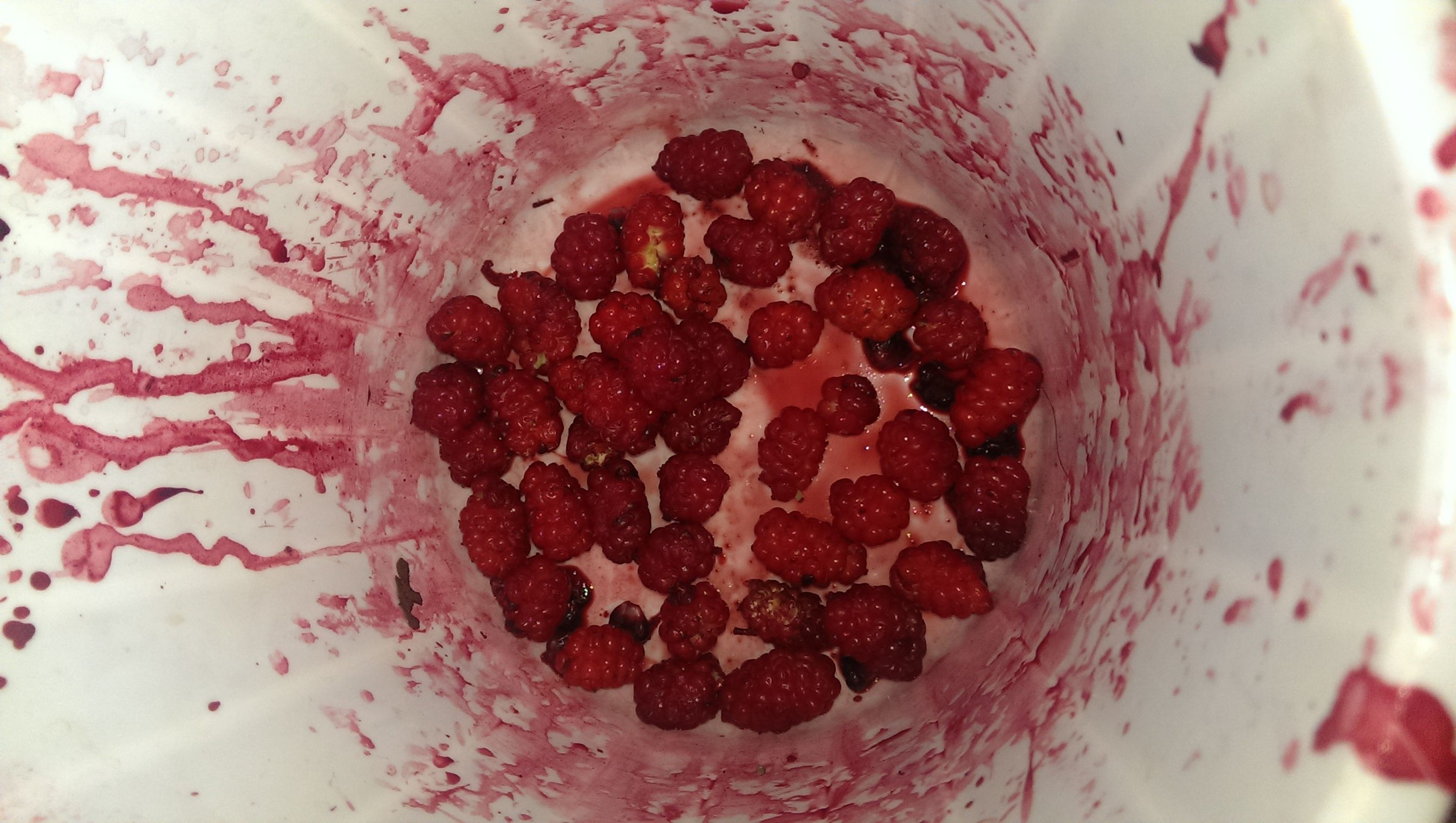 IMAG0586.jpg