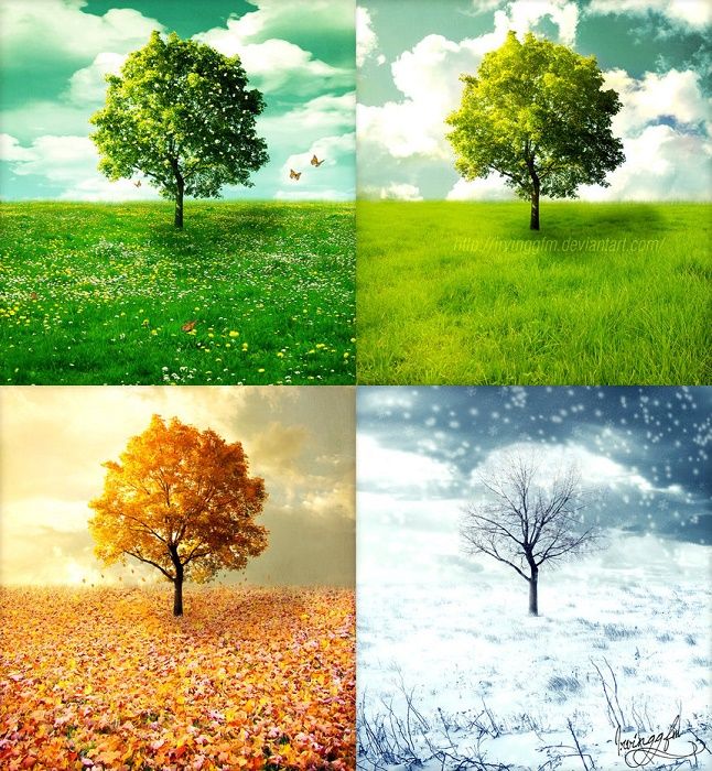 The-difference-between-the-Sun-and-the-Earth-is-the-main-reason-for-the-season-changes.jpg