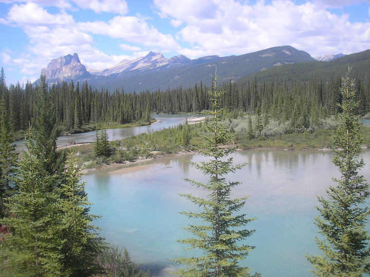 Alberta.jpg