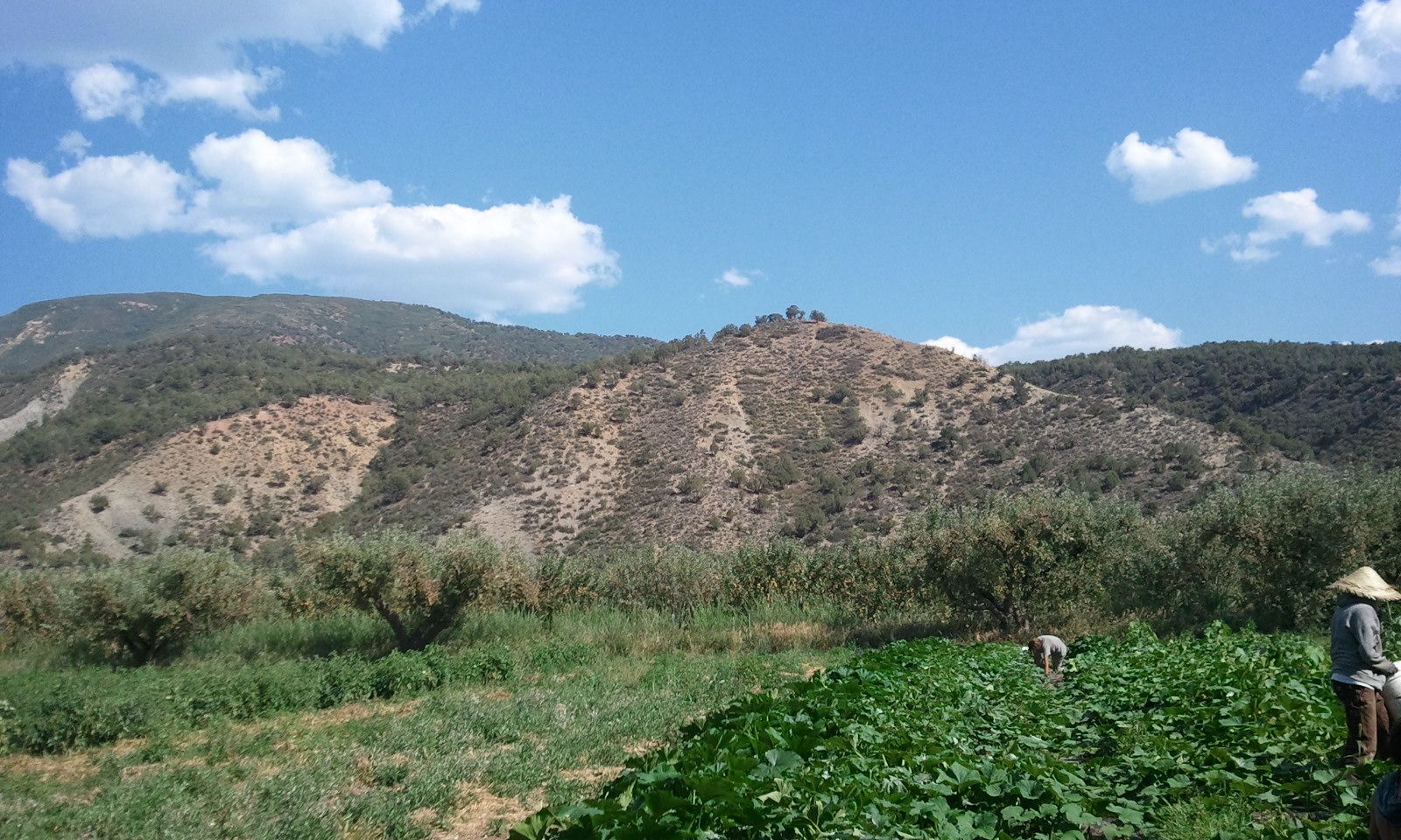 2012-08-08 16.29.52.jpg