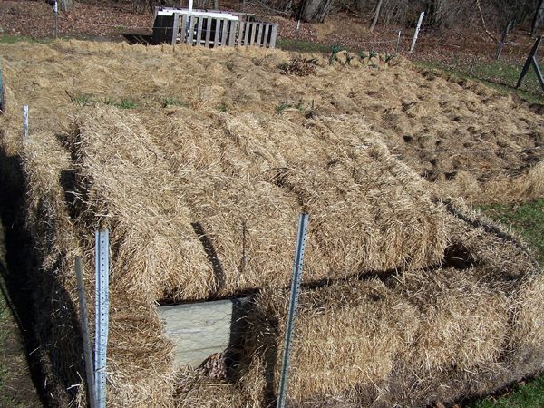 Cold frame - cabbage root cellar3 crop Nov. 09.jpg