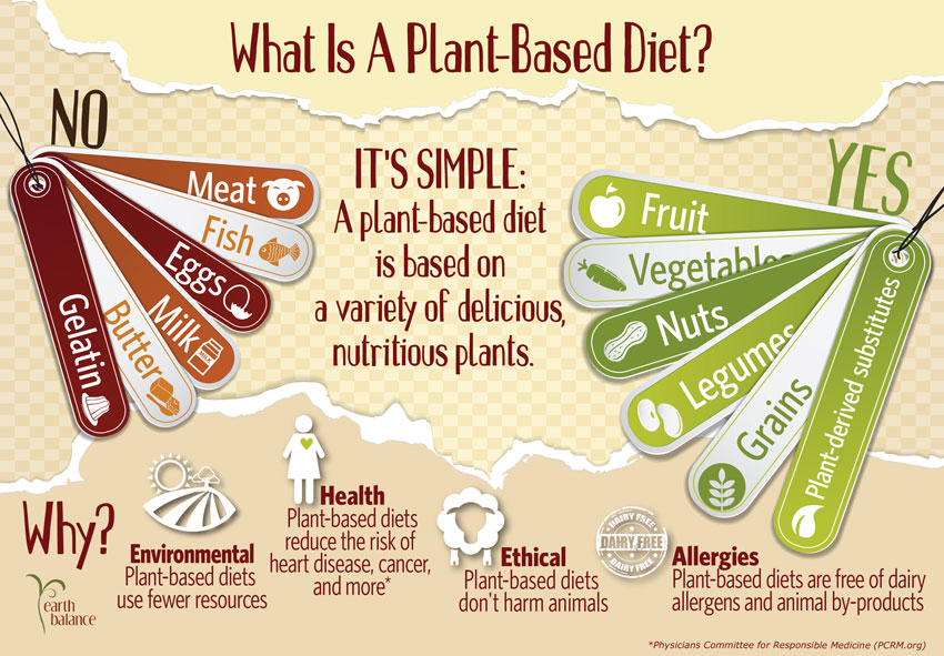 October_What_Is_A_Plant_Based_Diet_v4_Logo_Blog.jpg