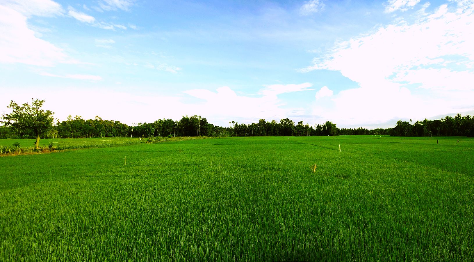 Untitled_Panorama11.jpg