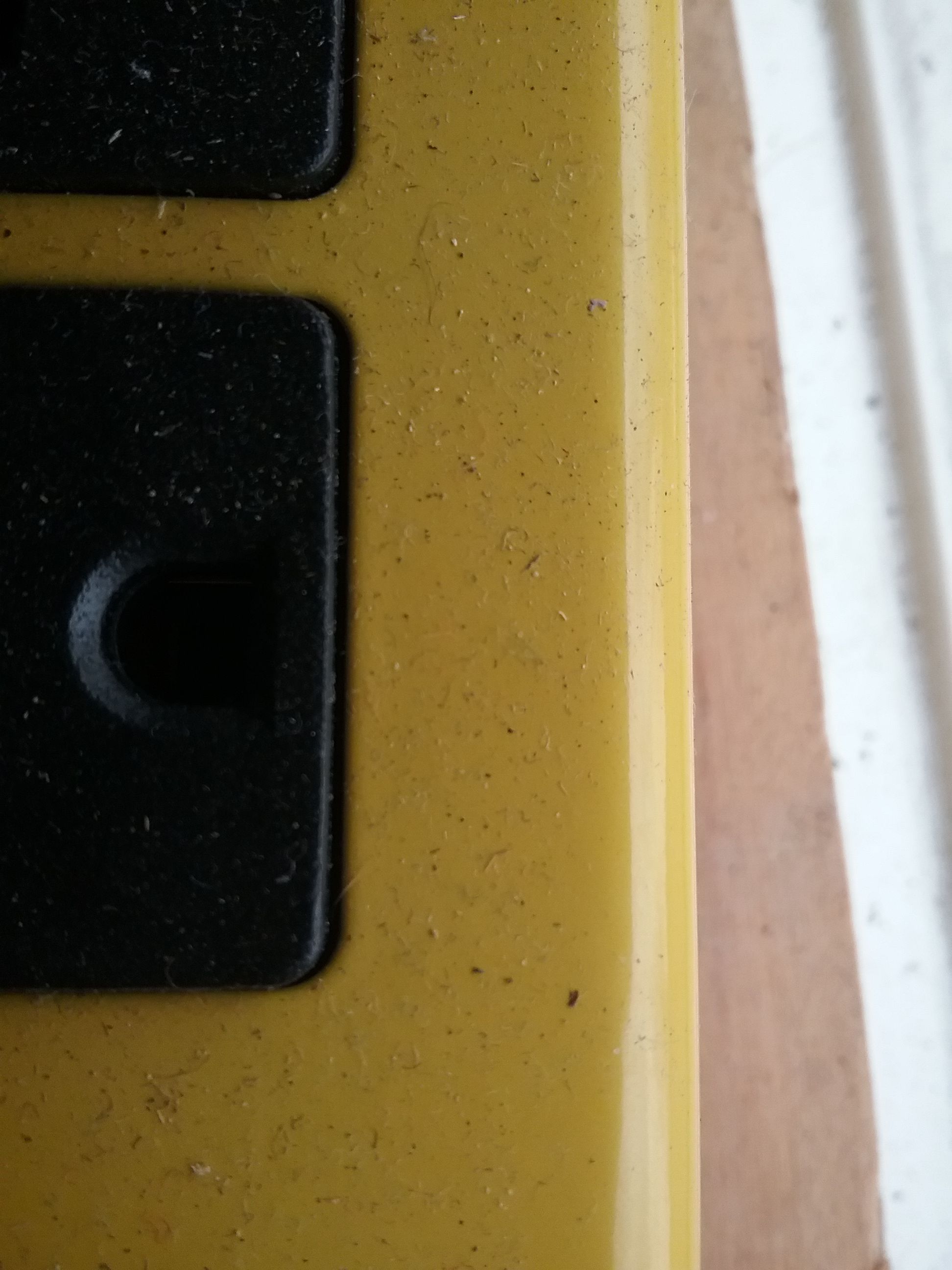 20180417_132441.jpg