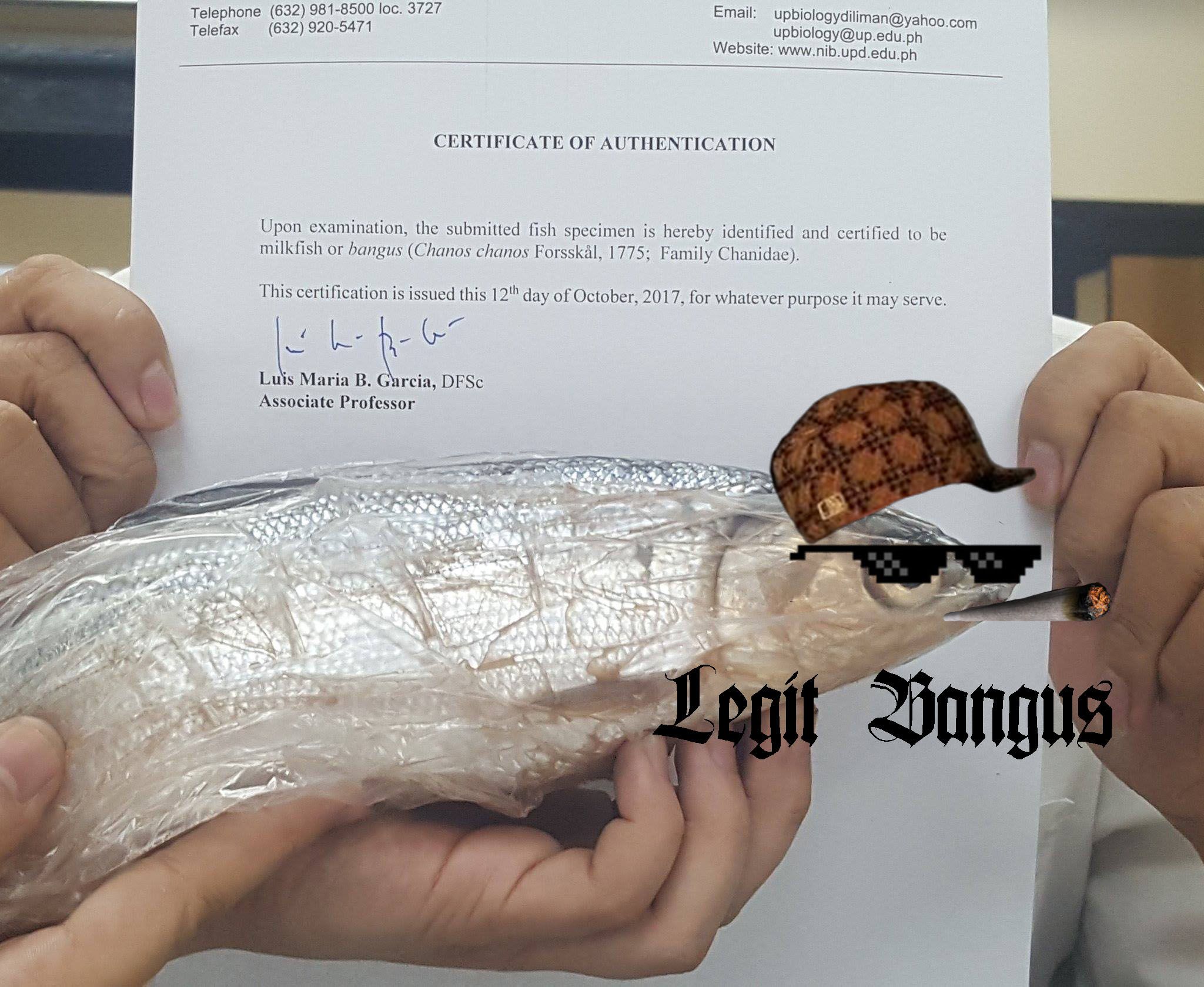 Legit Bangus.jpg