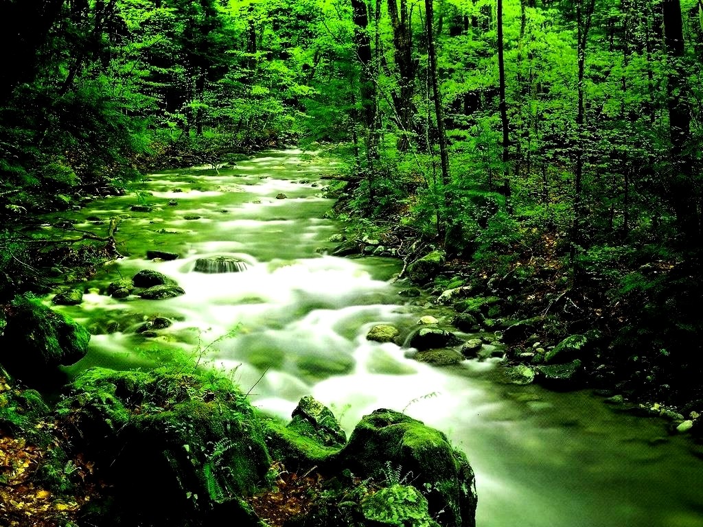 river-spring-stream-rock-water-swift-forest-stones-flow-green-nature-hd-wallpaper.jpg