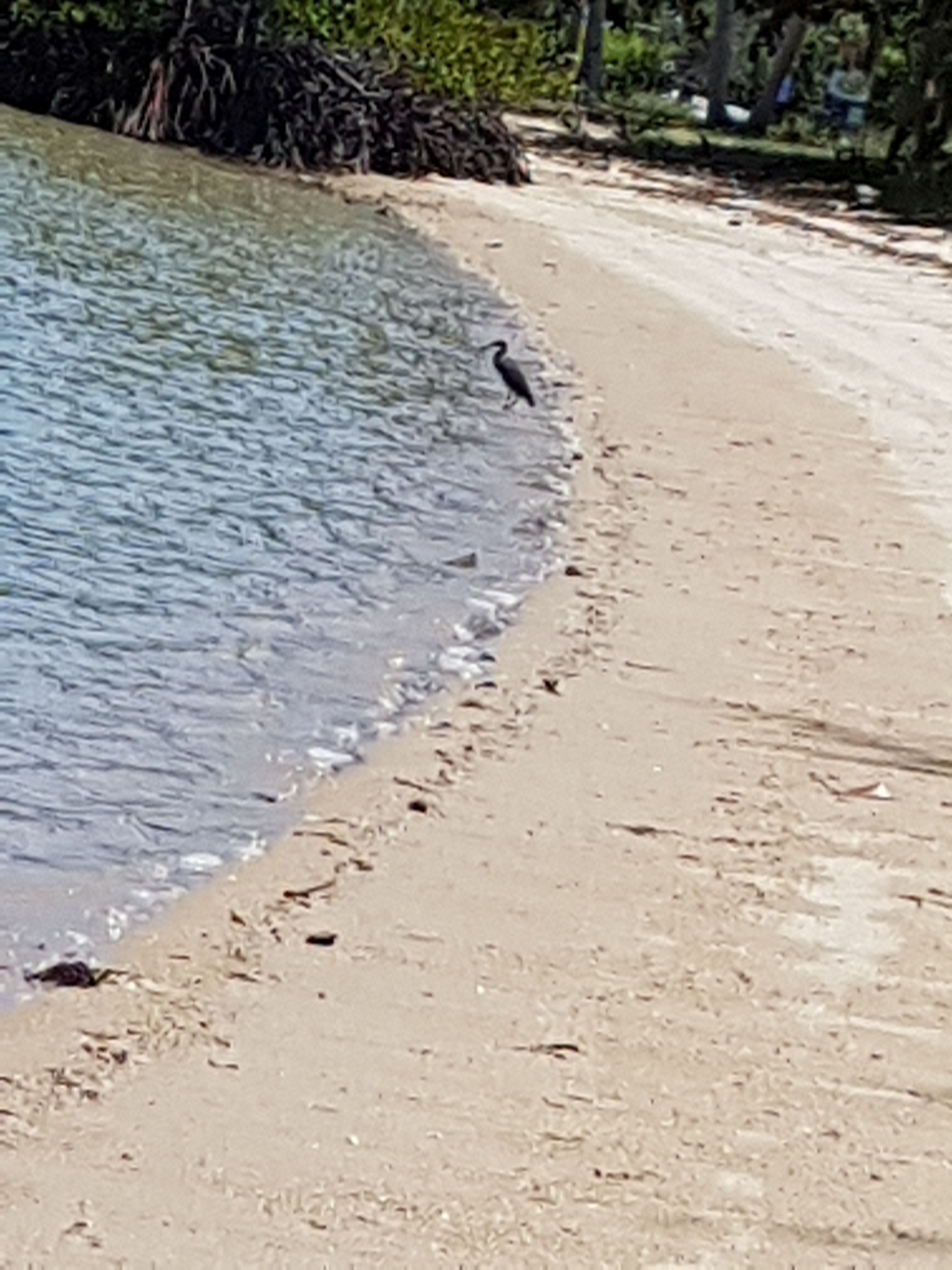 20170906_113932.jpg