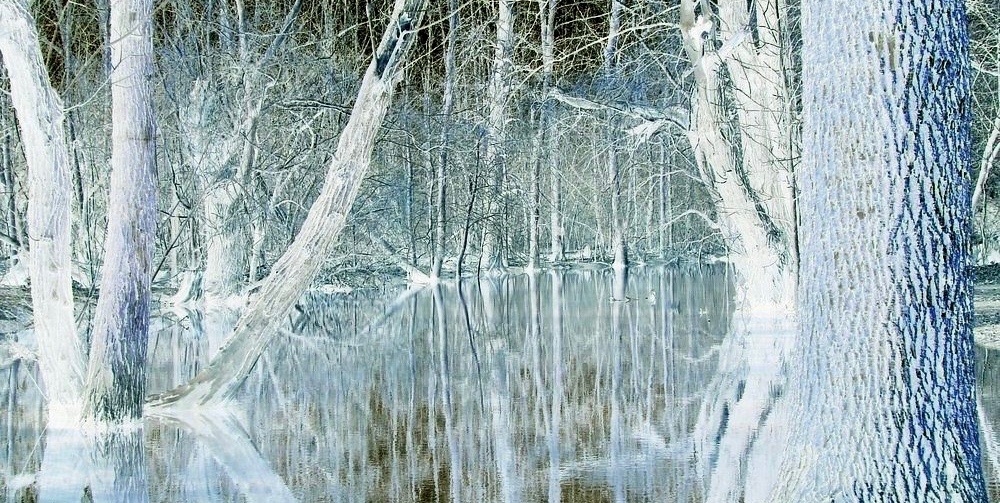 negative-bluegreen-pond.jpg