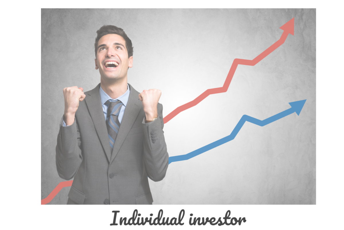 Individual investor.png