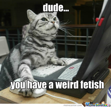 my-friend-on-my-computer_o_1234124.jpg