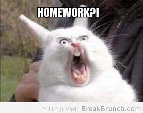 Angry-Buuy-Homework-Funny-Picture.jpg