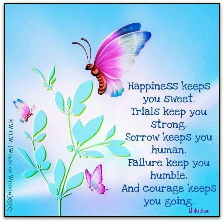 9f8c7224d0322717ea2ff023cee2784d--insightful-quotes-give-up-on.jpg