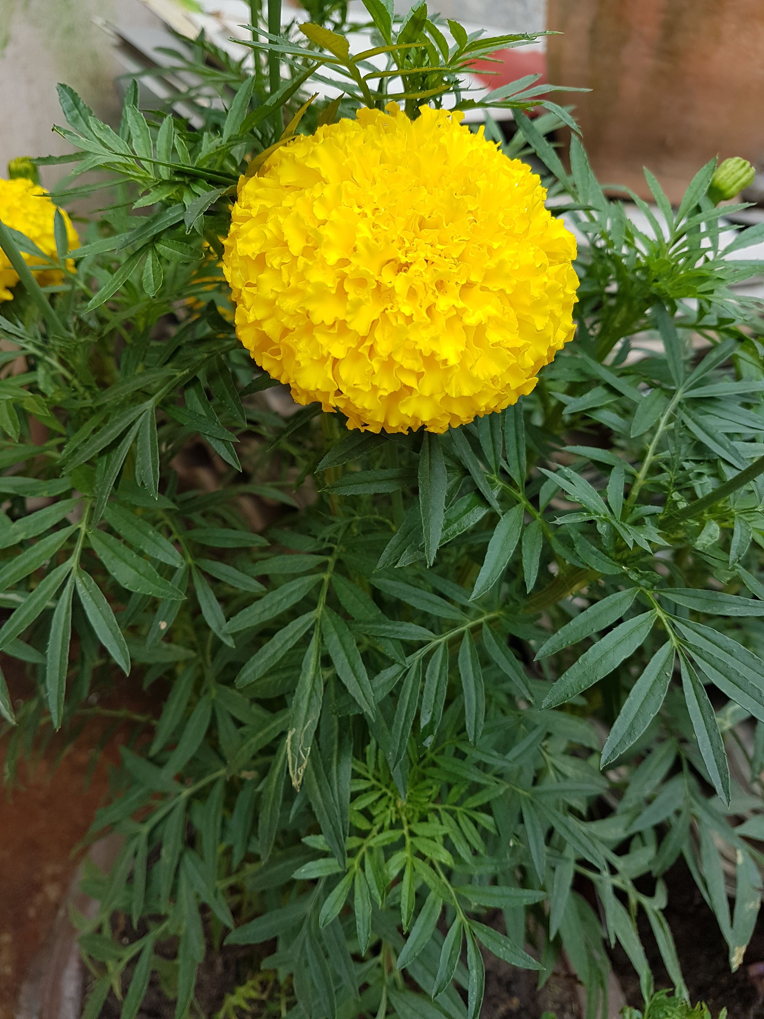 20170930_124003.jpg