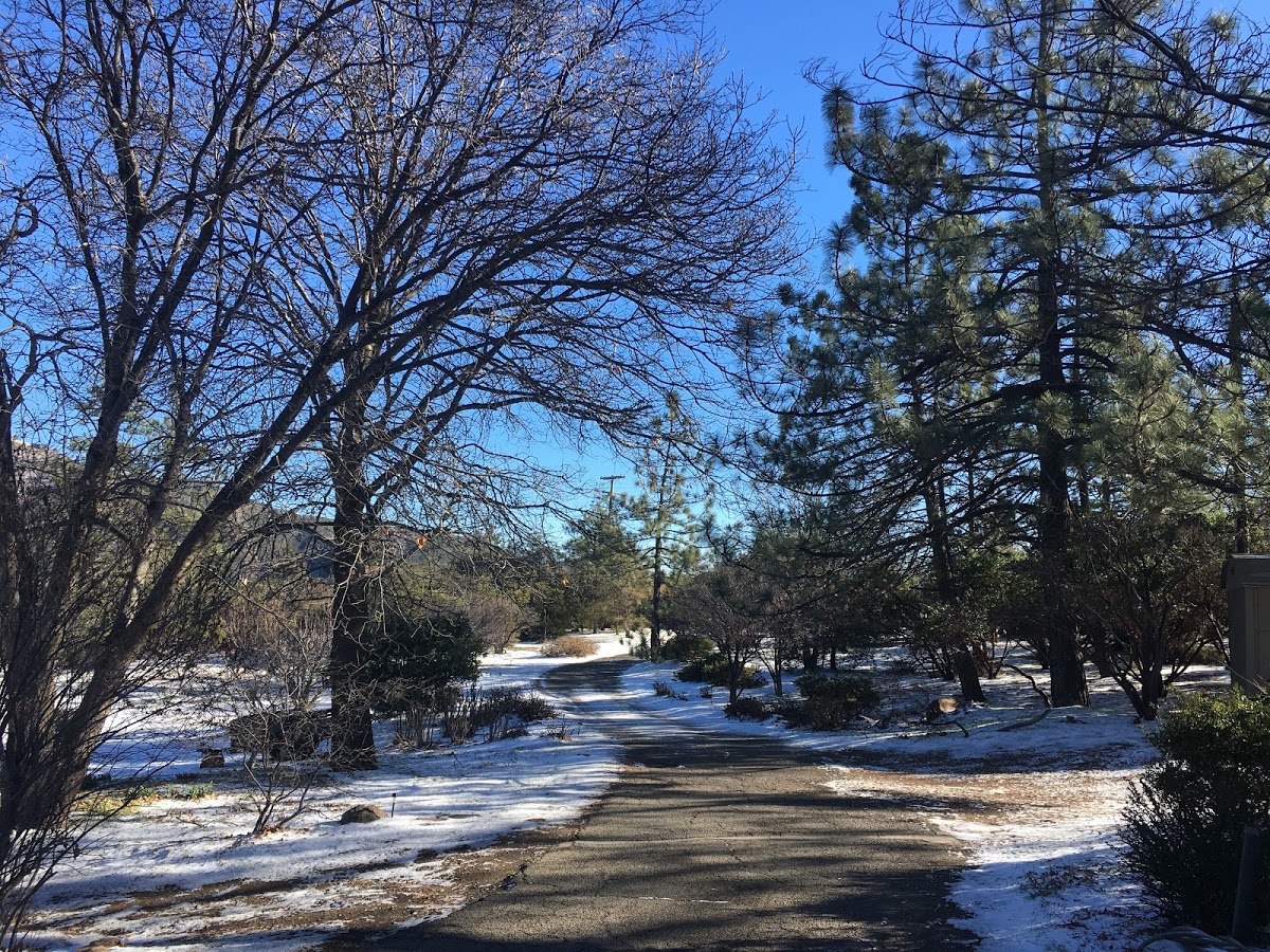 curvy driveway.JPG