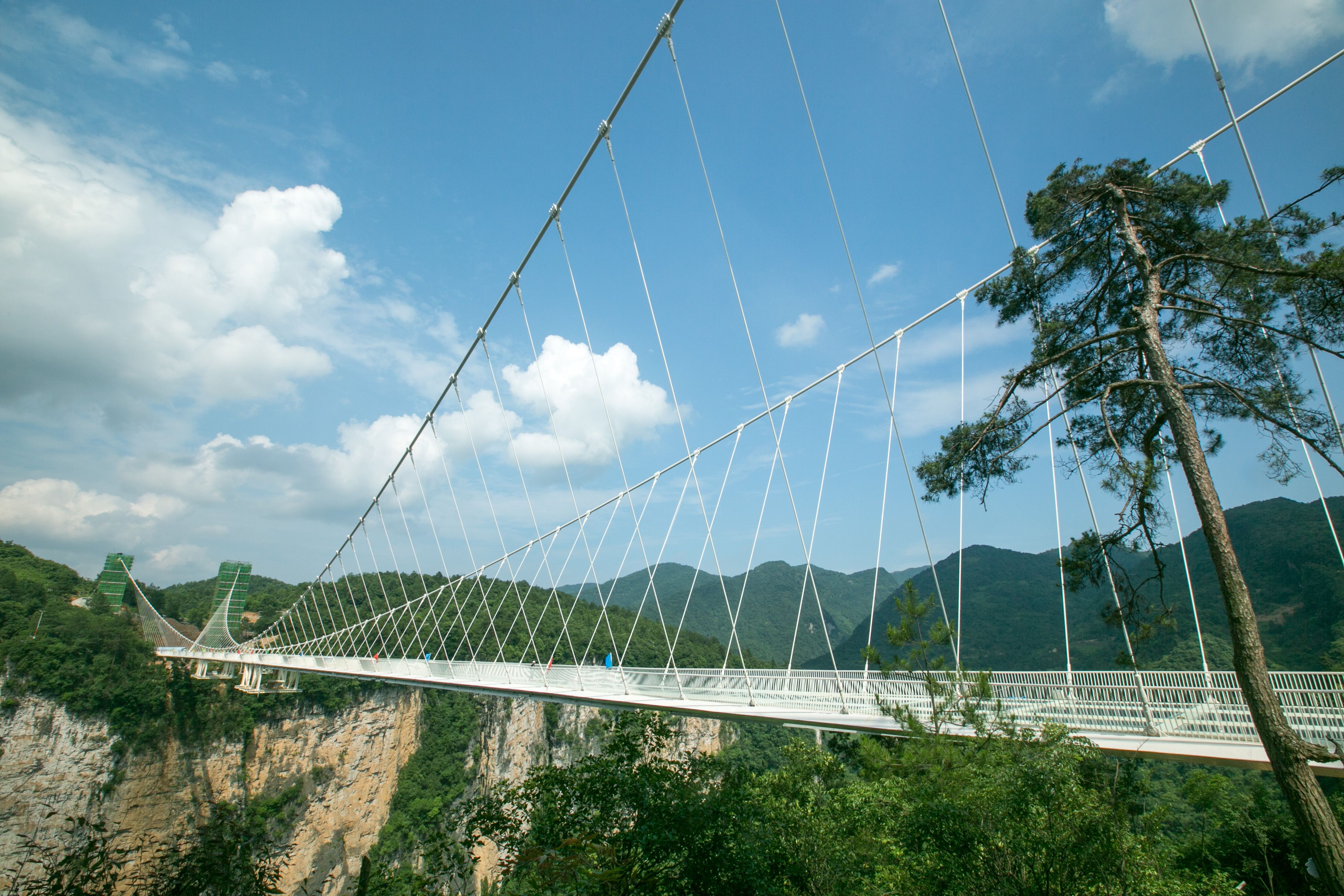 Glass_Bridge_in_Zhangjiajie_China.jpg