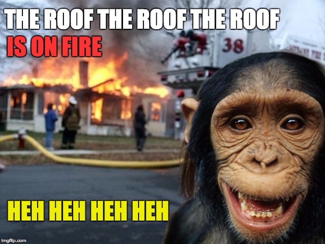 TheROOF.jpg