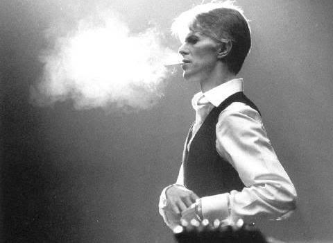 davidbowiethinwhiteduke.jpg