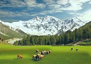 fairy-meadows-raikot.jpg