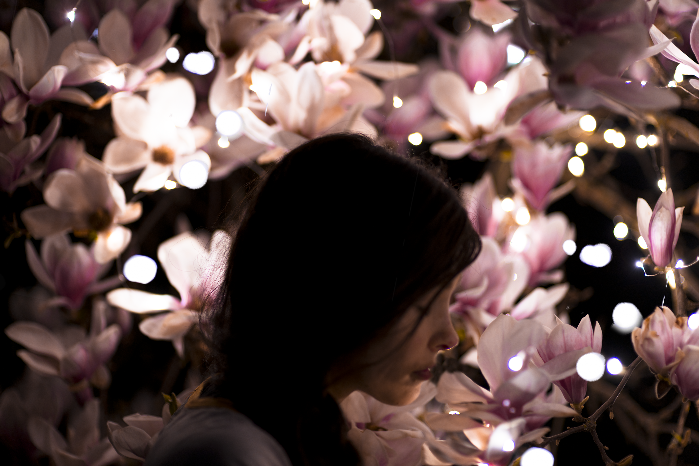 F4BADAAE-6D35-4955-954C-6938F9849C5F.png