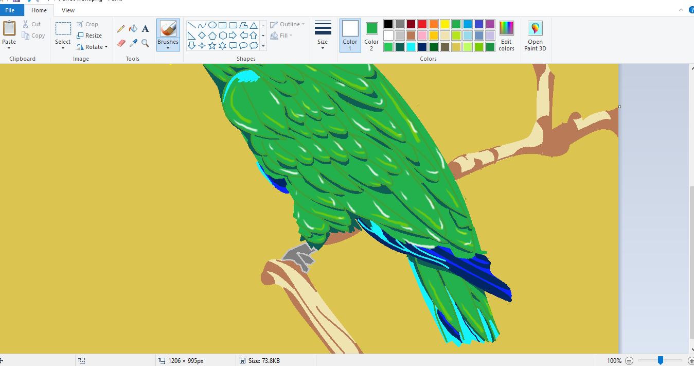 parot19.JPG
