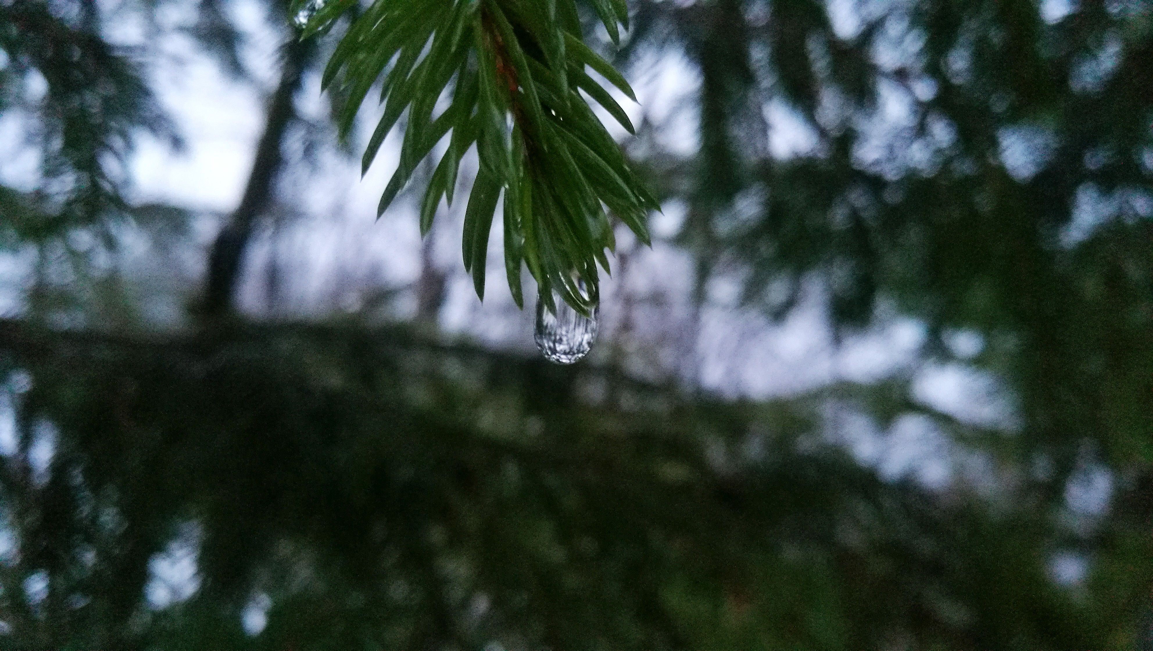 3.IMG_20180307_175902.jpg