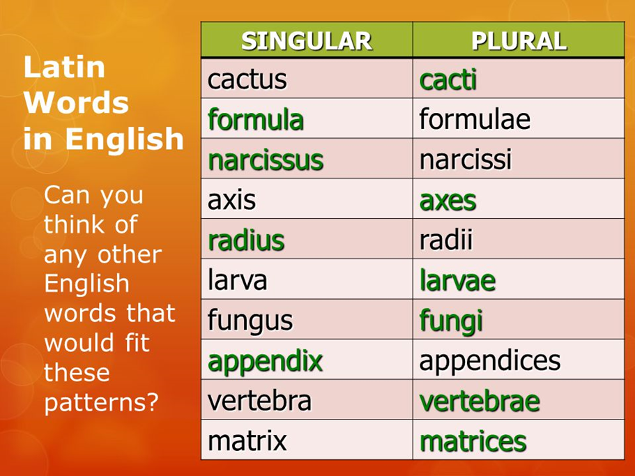 Wording in english. Latin Words in English plural. Singular and plural английский. Latin plural Irregulars. Formula plural.