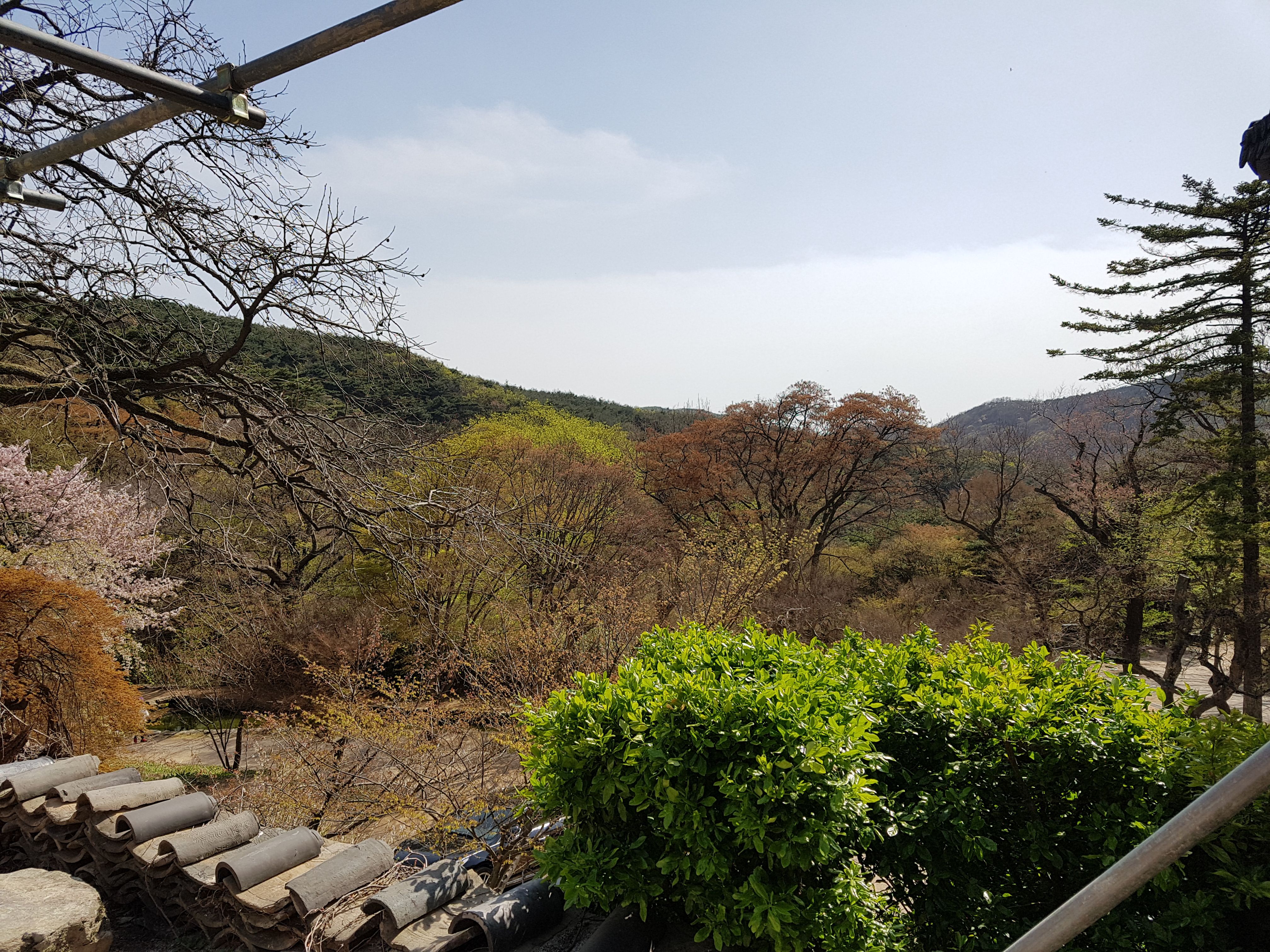 20180412_151933.jpg
