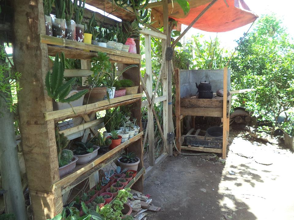 cooking beside the cacti.jpg