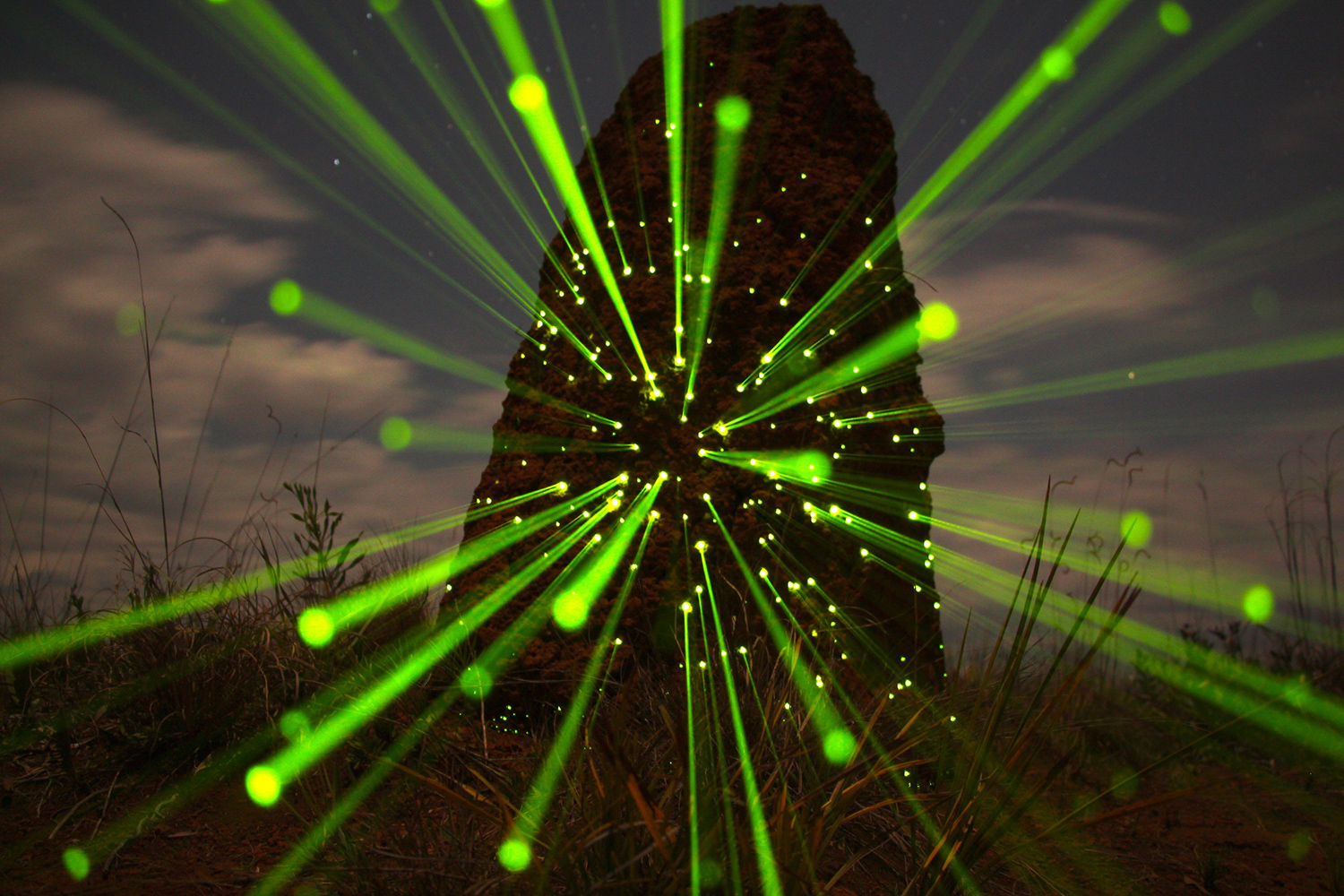 This photo was taken in the Brazilian Cerrado of the amazing bioluminescent termite mounds glowing in the dark. The phenomenon is the result of firefly larvae nesting in the holes to attract the winged termites coming out o.jpg