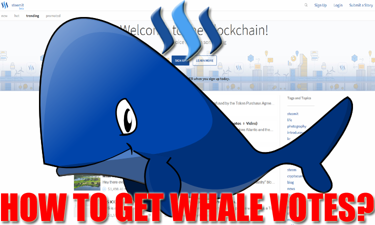 whalevotes.png