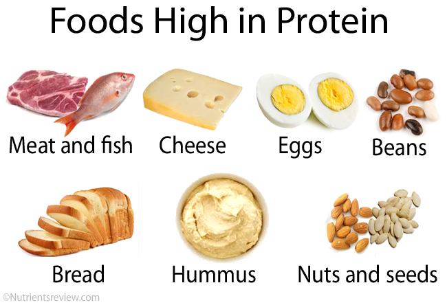 High-protein-foods.jpg