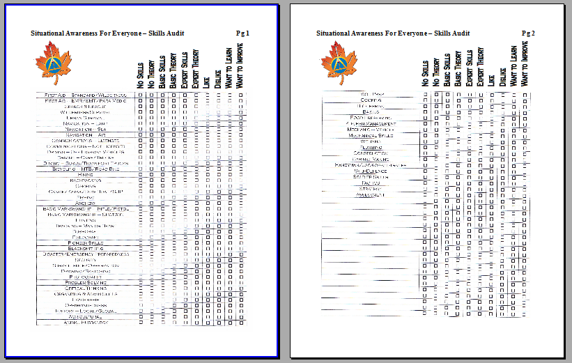 SAFE 1 Skills Audit Form 2018.png