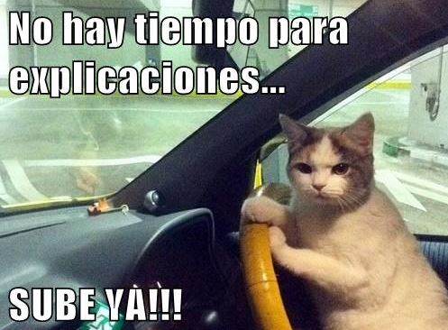 No Hay Tiempo Para Detalles El Mundo Se Acaba Serie Memes