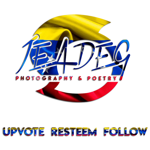 logo con bandera de venezuela.png