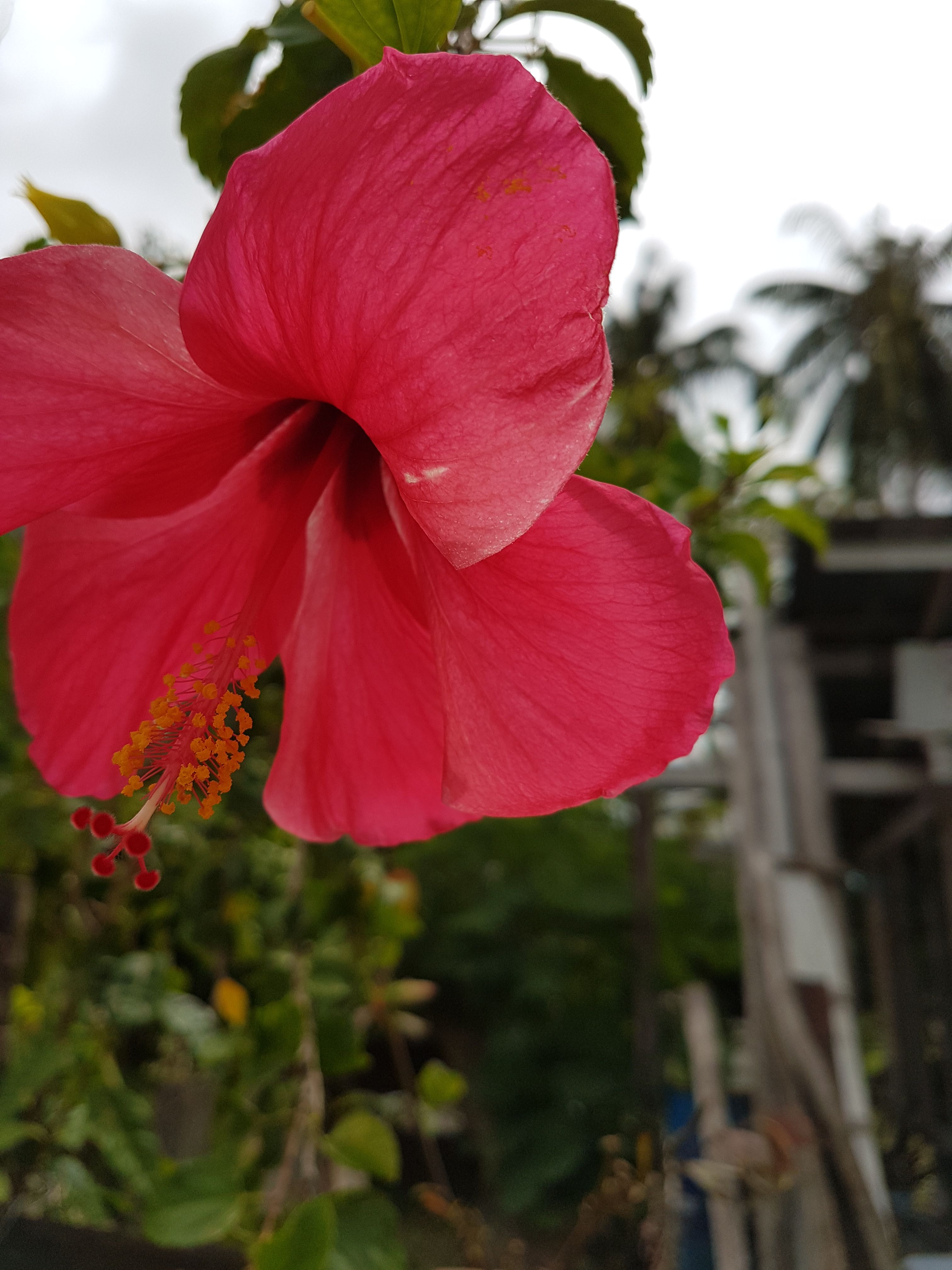 20170827_104618.jpg