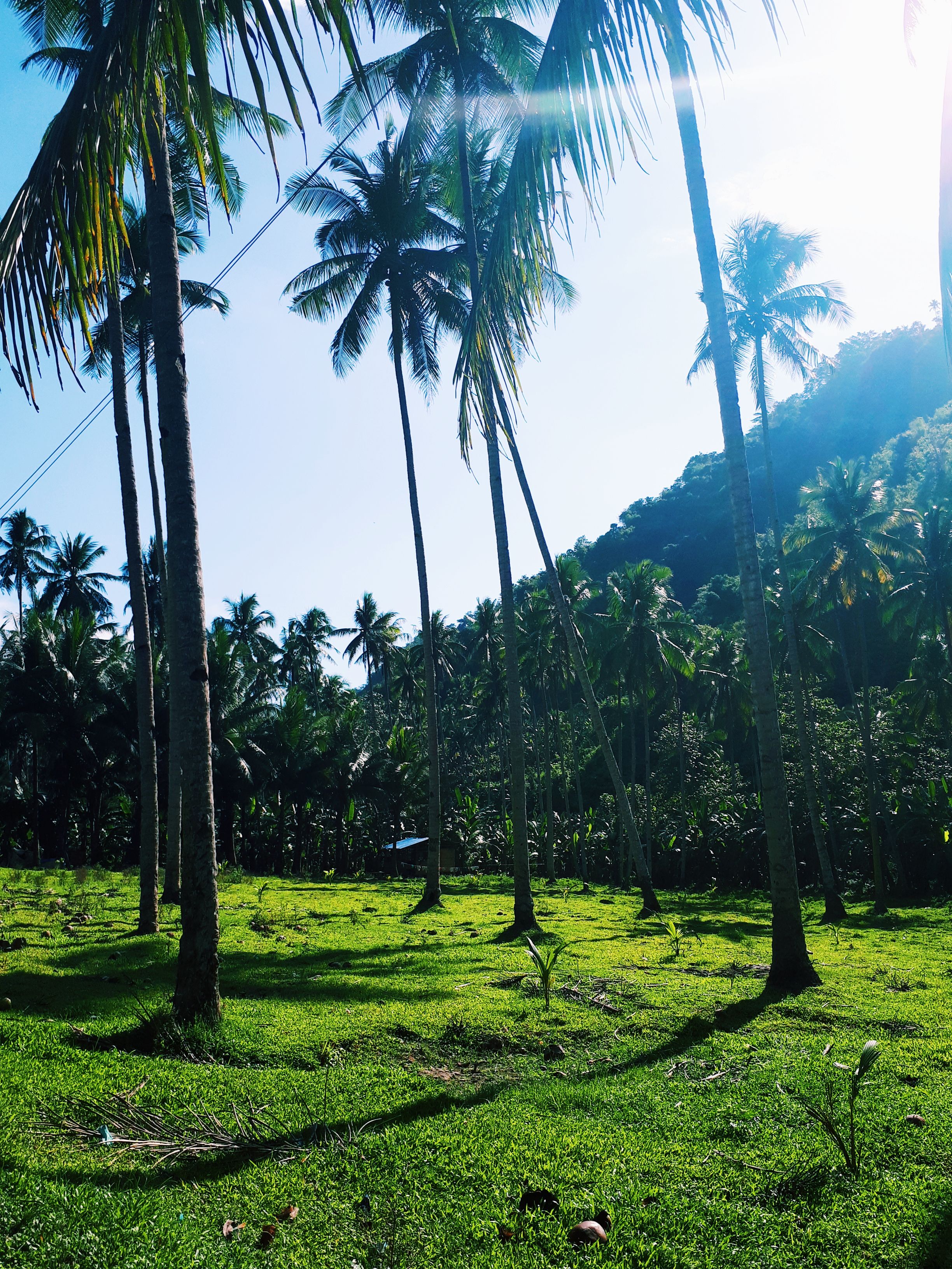 2018-04-22 10.12.13 1.jpg