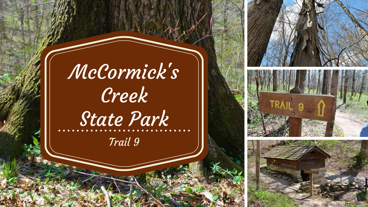 McCormick's Creek State Park.png