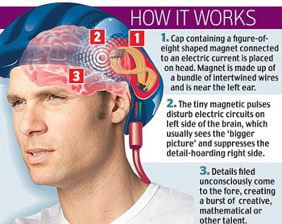 How the human brain works 