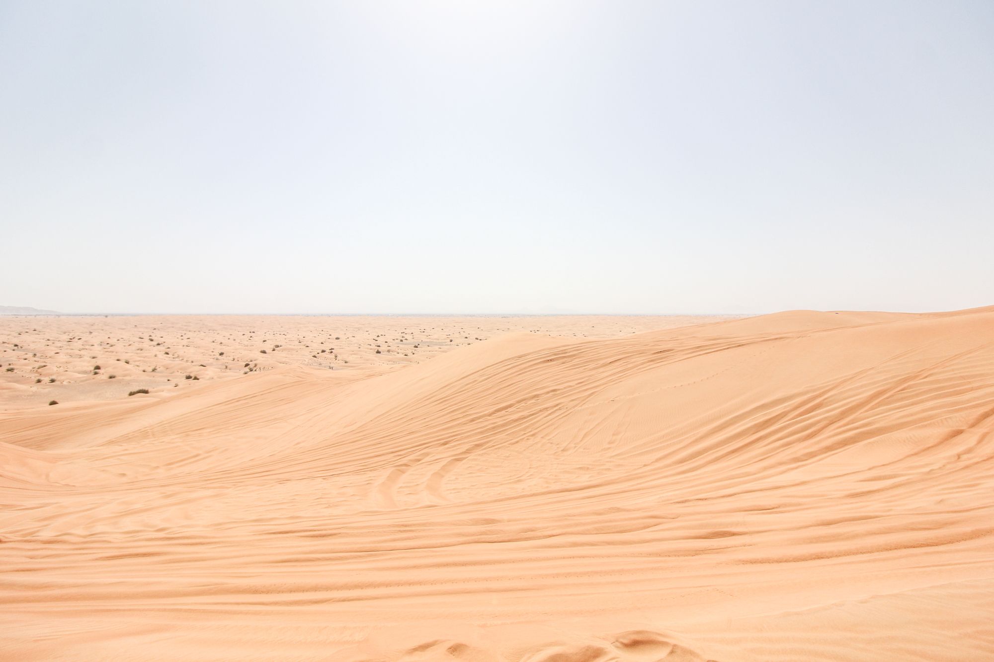 in-the-desert.jpg