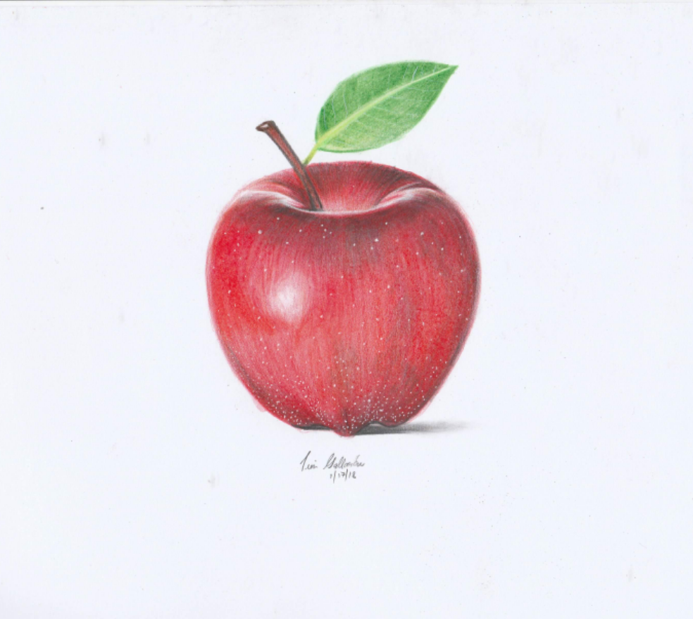 Featured image of post Colored Pencil Realistic Apple Drawing